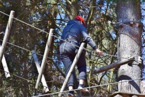 person wearing climbing gear going up a tree