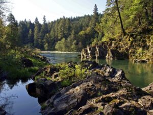 The Sunriver Nature Center is the gateway to Oregon's natural beauty