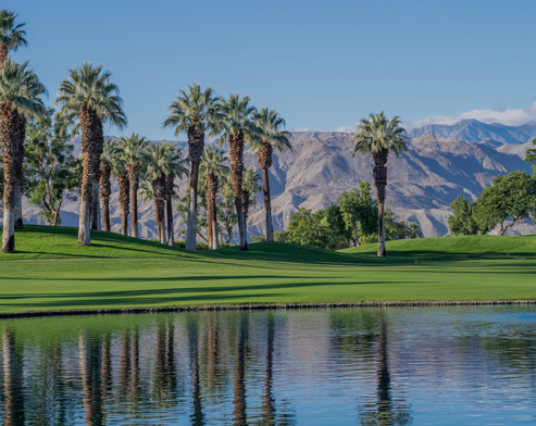 Palm Desert vacation rentals by Arrived