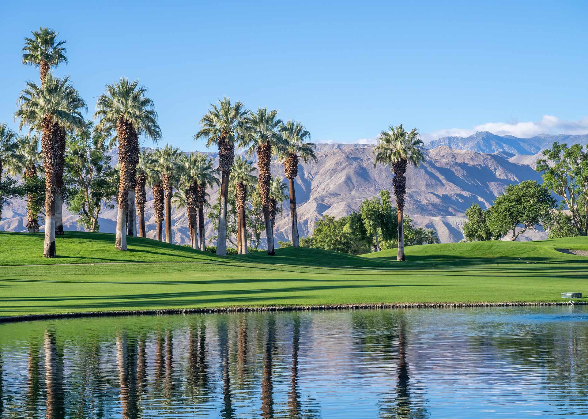 Palm Desert