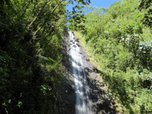 Kauai Adventures at Ho Olalaea Waterfall