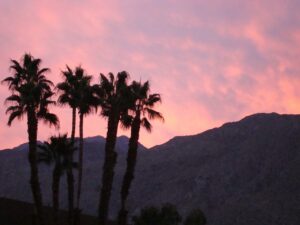 Learn more about this beautiful area at the Palm Springs visitor center!