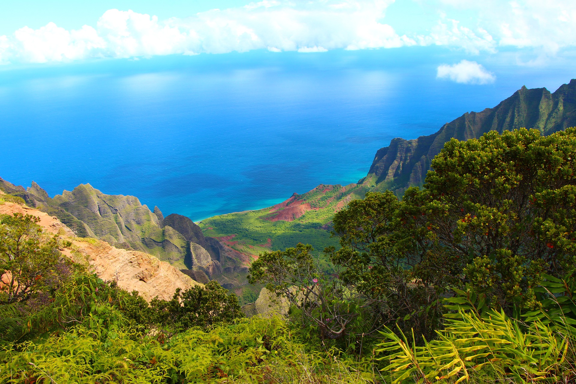 view of kauai jungle and ocean