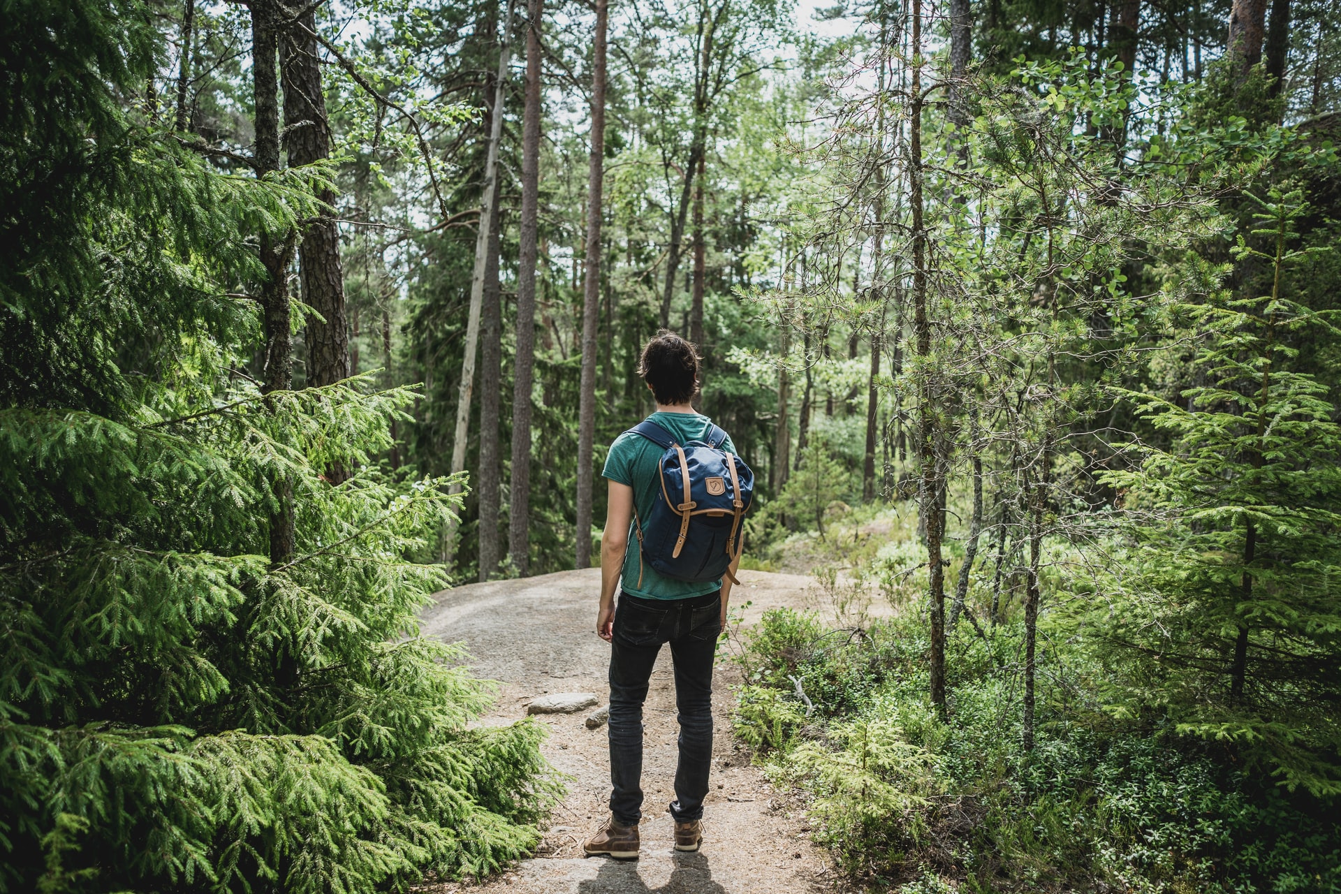man standing on a trail in the woods