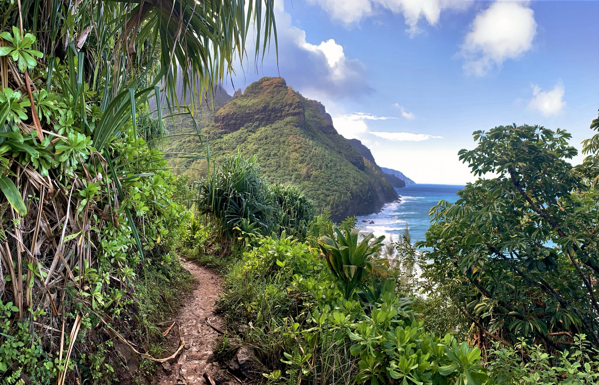 path through island wilderness